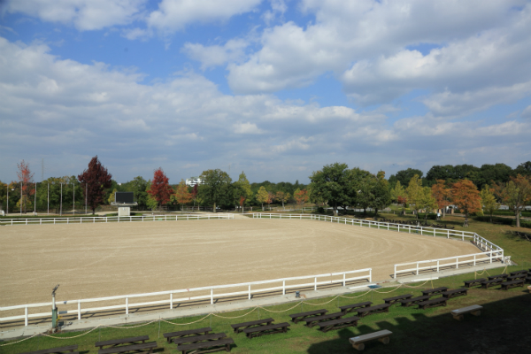 MIKIホーストレック屋外競技馬場1