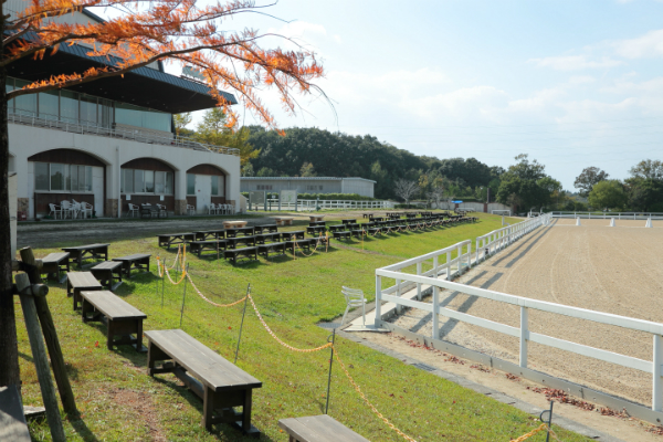 MIKIホーストレック屋外競技馬場2