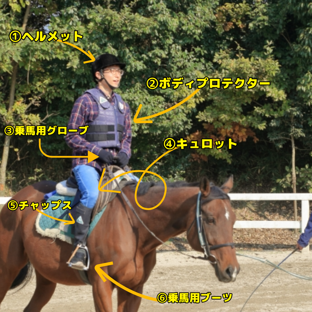 【乗馬初心者さんへ♪】必要な乗馬用品のご紹介 | 兵庫県神戸の乗馬クラブ MIKIホーストレック｜安心の乗馬体験・乗馬教室